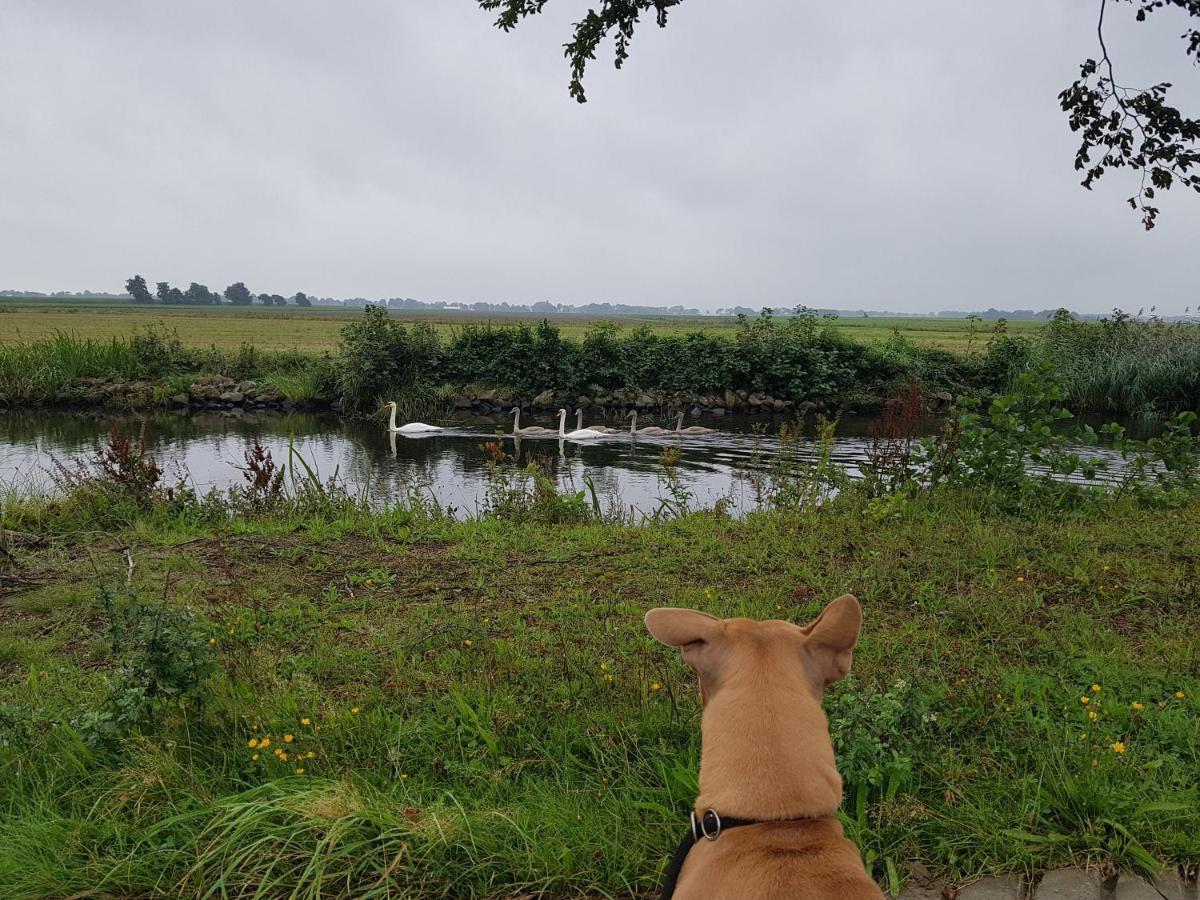 Drenths Landgoed, Lekker Uit Apartman Annerveenschekanaal Kültér fotó